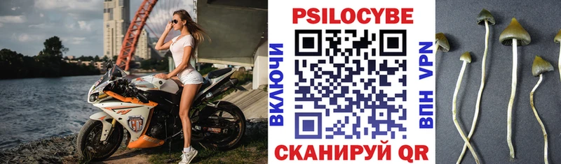 сколько стоит  Приморск  Галлюциногенные грибы мицелий 