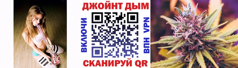 как найти наркотики Приморск omg ONION Каннабис сатива